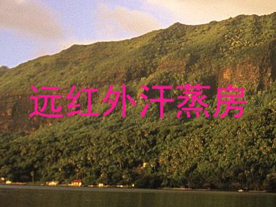 远红外汗蒸房