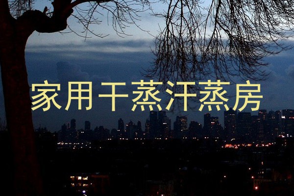 家用干蒸汗蒸房