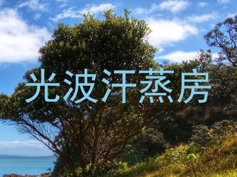 光波汗蒸房