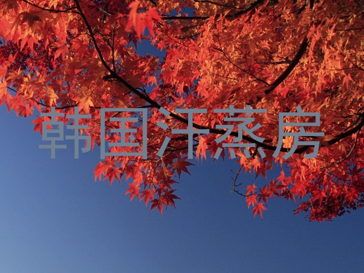 韩国汗蒸房
