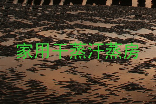 家用干蒸汗蒸房