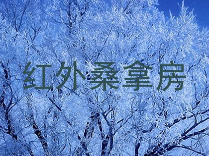 红外桑拿房