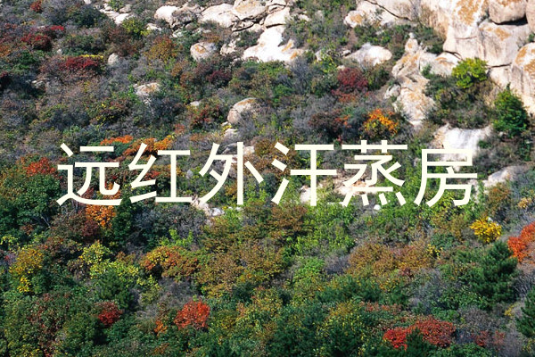 远红外汗蒸房