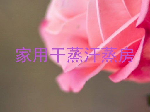 家用干蒸汗蒸房