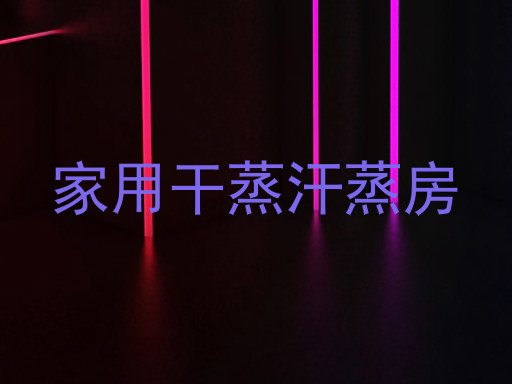 家用干蒸汗蒸房