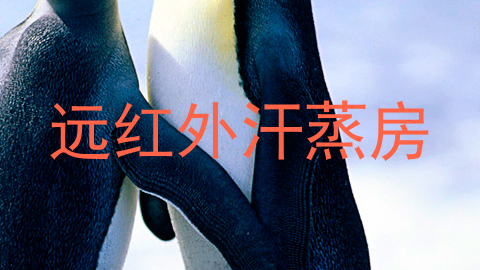 远红外汗蒸房