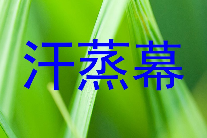 汗蒸幕