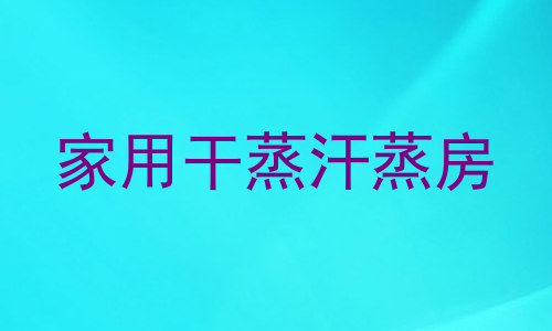 家用干蒸汗蒸房