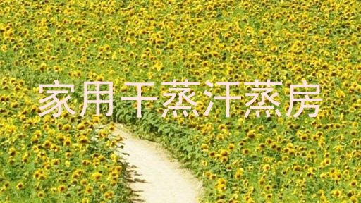 家用干蒸汗蒸房