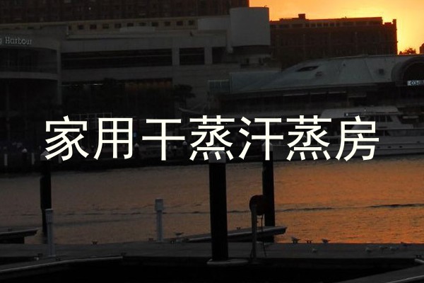 家用干蒸汗蒸房