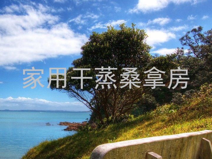 家用干蒸桑拿房