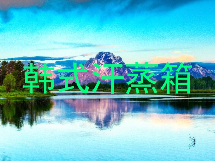 韩式汗蒸箱