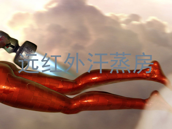 远红外汗蒸房
