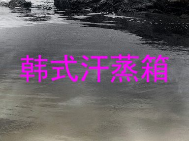 韩式汗蒸箱