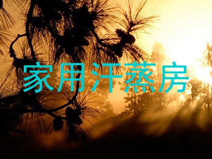 家用汗蒸房
