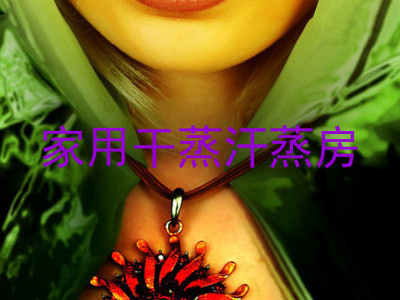家用干蒸汗蒸房