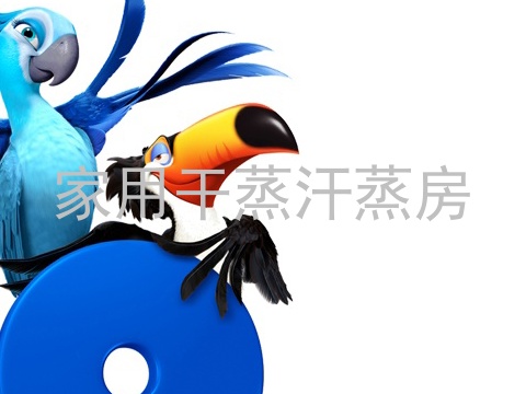 家用干蒸汗蒸房