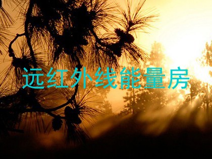 远红外线能量房