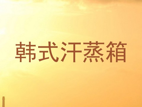 韩式汗蒸箱