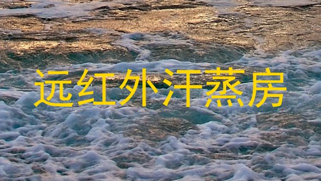 远红外汗蒸房