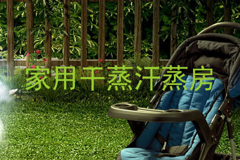 家用干蒸汗蒸房