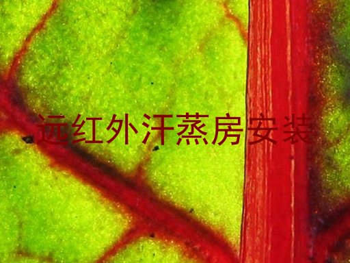 远红外汗蒸房安装
