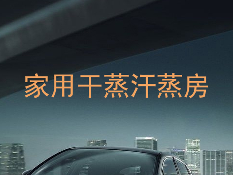 家用干蒸汗蒸房