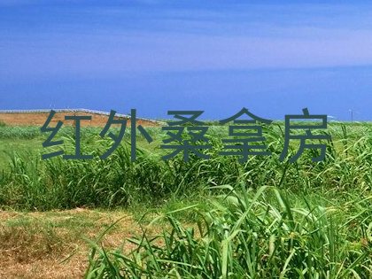 红外桑拿房