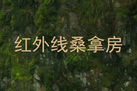 红外线桑拿房