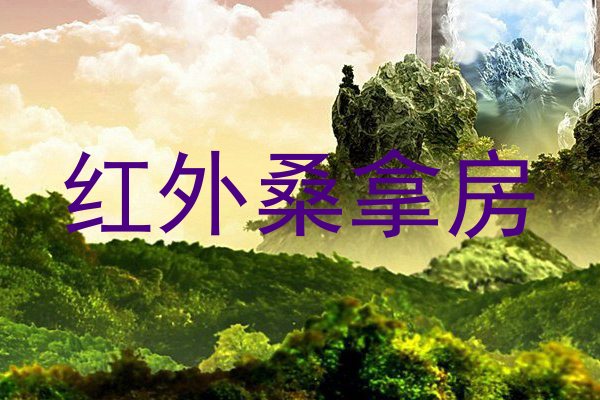 红外桑拿房