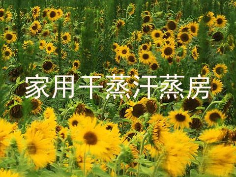 家用干蒸汗蒸房