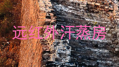 远红外汗蒸房