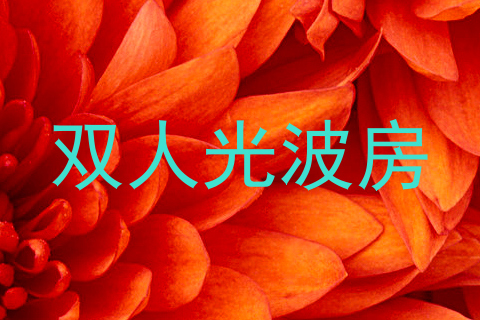 双人光波房