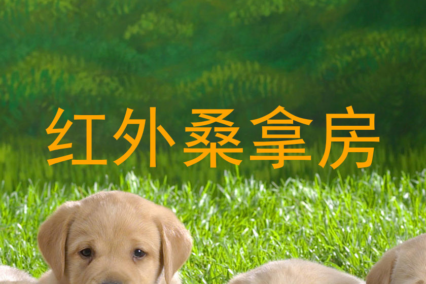 红外桑拿房