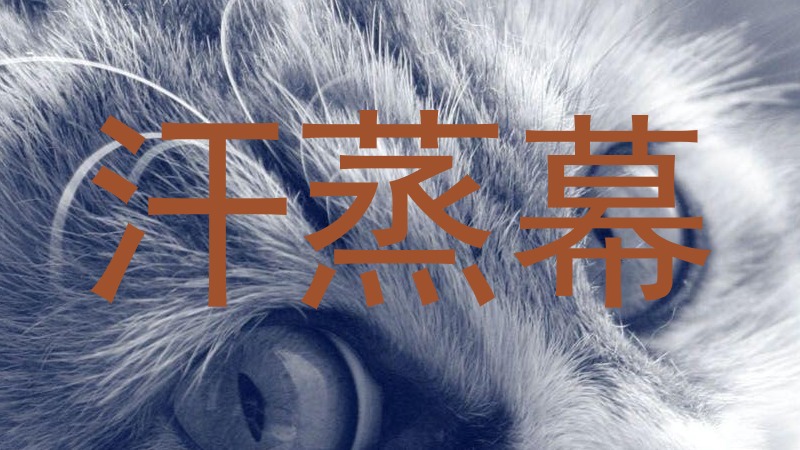 汗蒸幕
