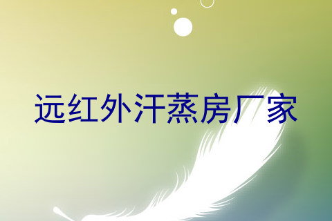 远红外汗蒸房厂家