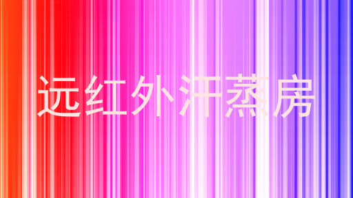 远红外汗蒸房