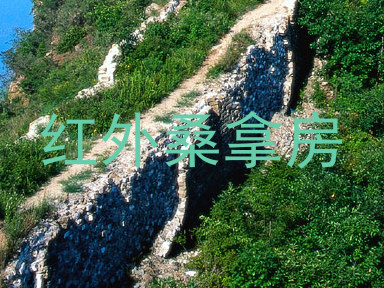红外桑拿房