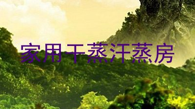 家用干蒸汗蒸房