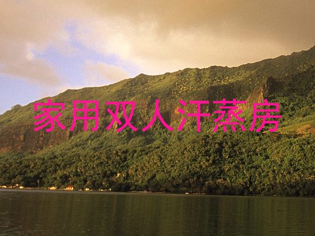 家用双人汗蒸房