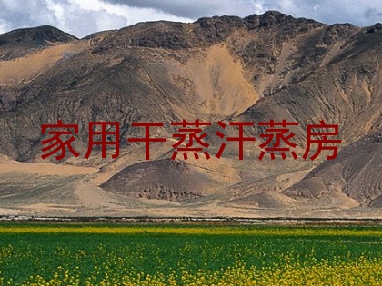 家用干蒸汗蒸房