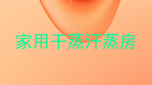 家用干蒸汗蒸房