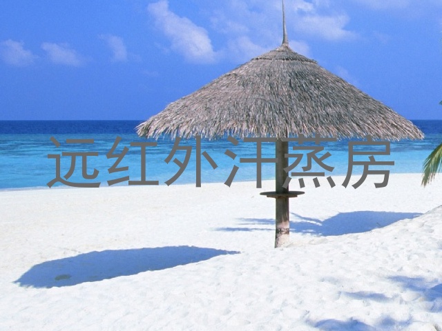 远红外汗蒸房