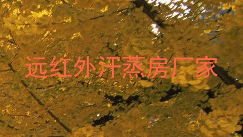 远红外汗蒸房厂家