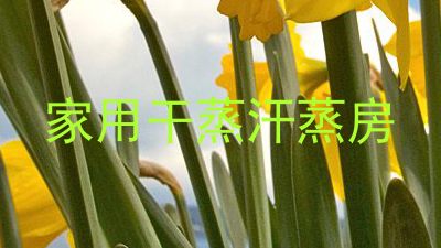 家用干蒸汗蒸房
