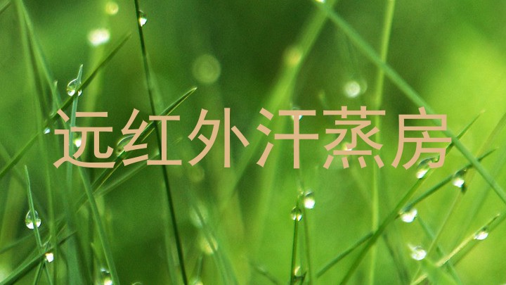 远红外汗蒸房