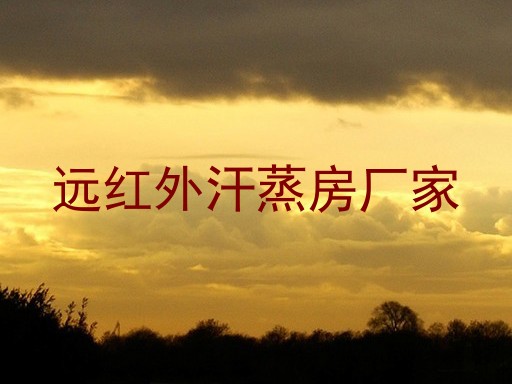 远红外汗蒸房厂家