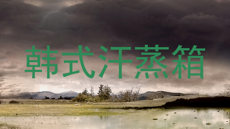 韩式汗蒸箱