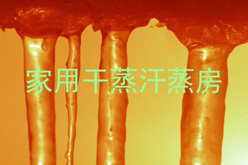 家用干蒸汗蒸房