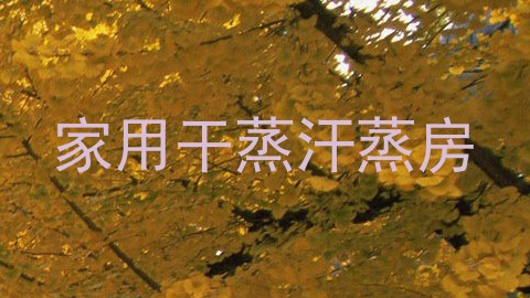 家用干蒸汗蒸房